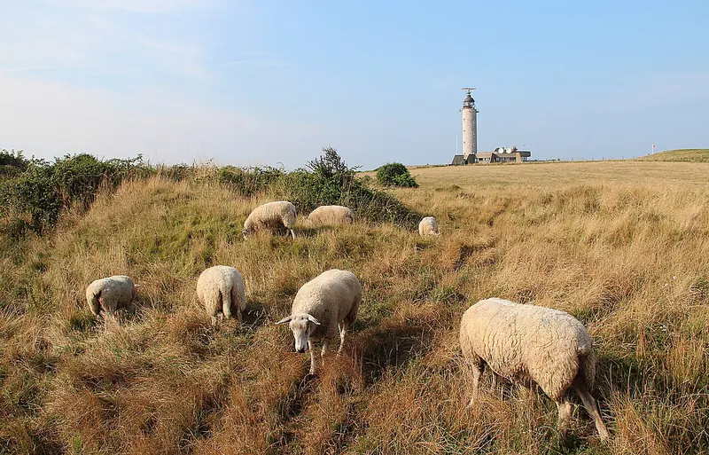 The Cap Gris-Nez lighthouse on the edge of the cliff