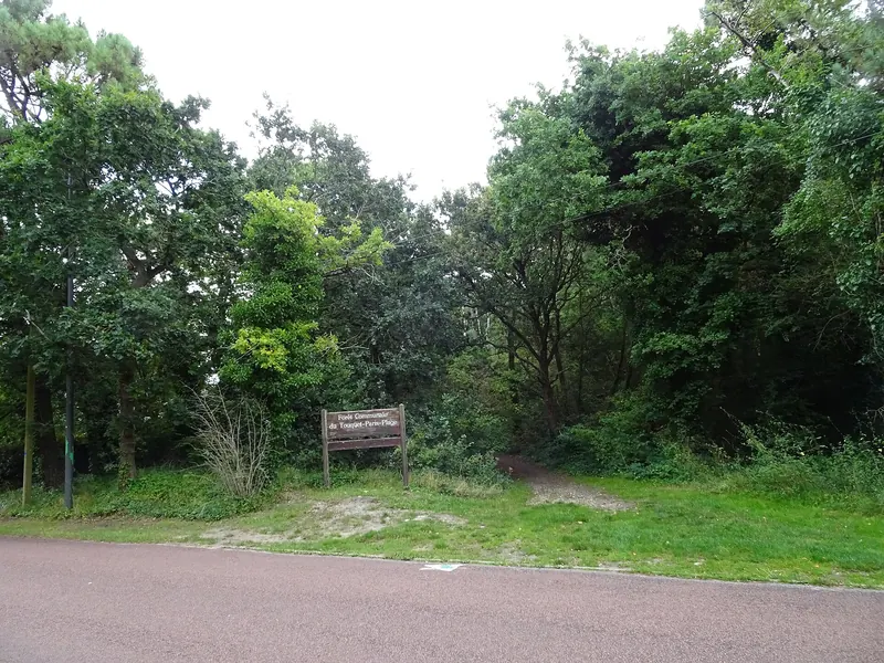 Allée de la forêt communale du Touquet-Paris-Plage