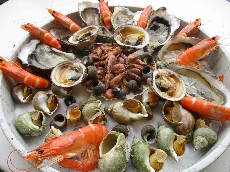 Zeevruchtenschotel met oesters, garnalen en schaaldieren